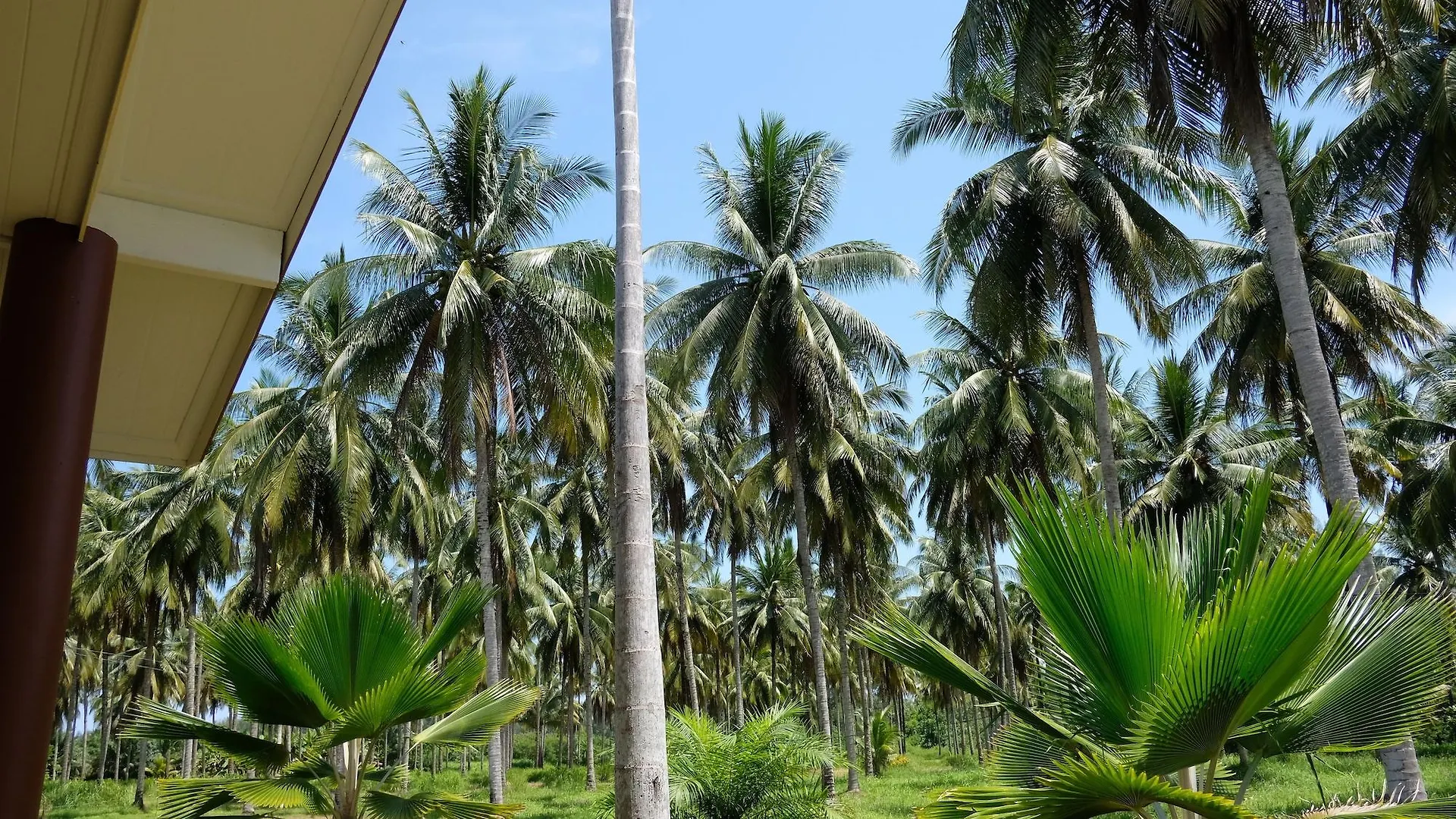Khao Lak Golden Coconut Hotel 2*, Khao Lak Thailand